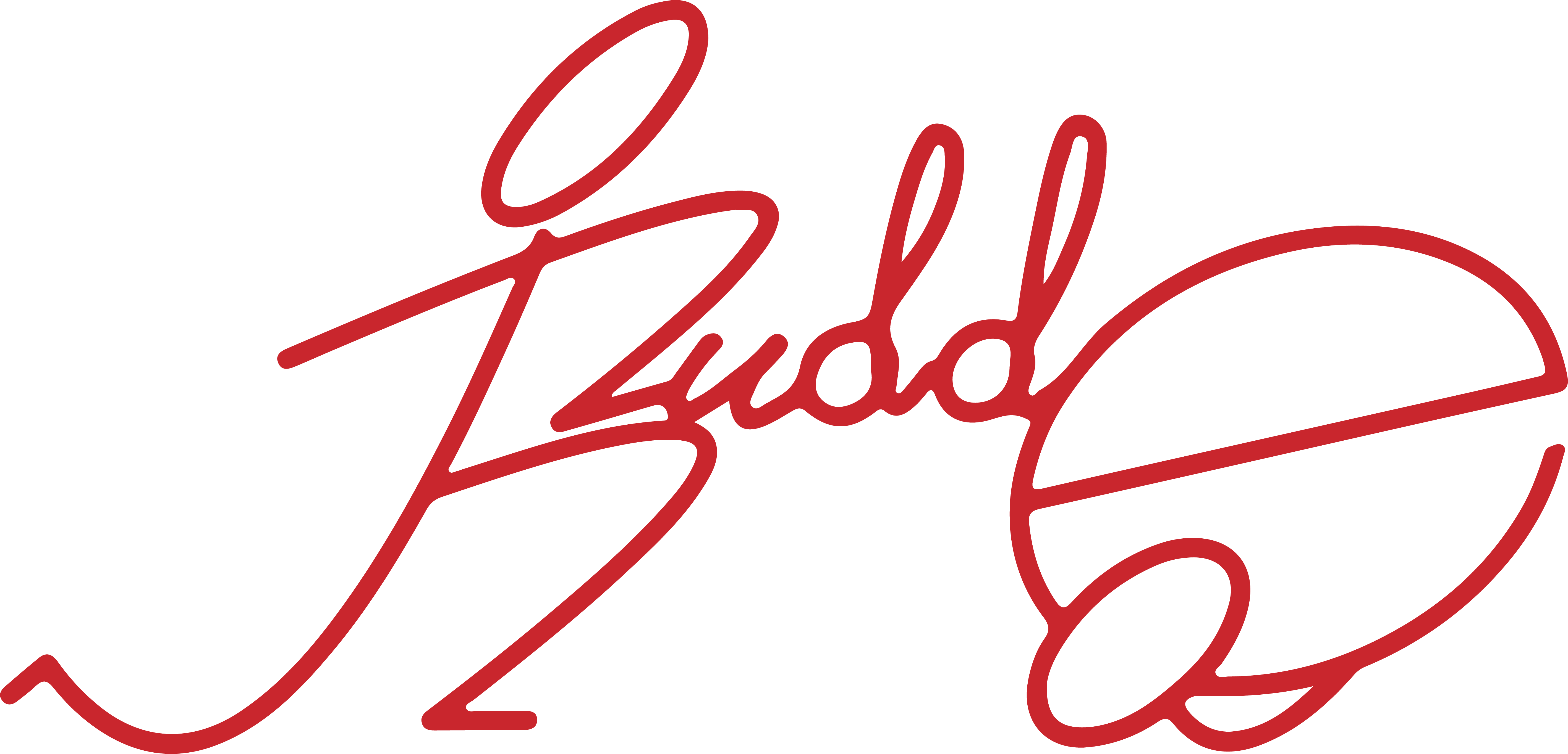 Logo Budd-e